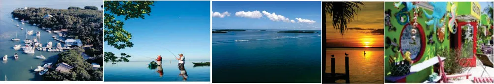 Horizontal photo collage banner of Pine Island showcasing a boat marina, people fishing in open water, islands across the ocean, a sunset from a dock, and a colorful tropical building backdrop.